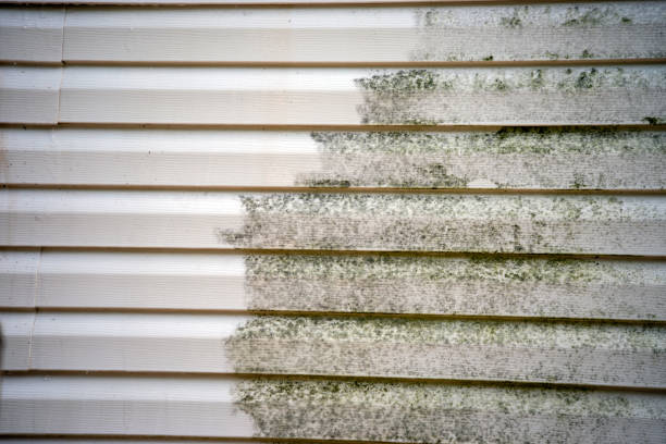  Mclean, VA Junk Removal Pros